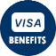 Visa Business® Card Benefits