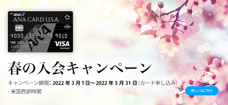 アメリカ駐在の方へおすすめ アメリカのクレジットカード Ana Card U S A