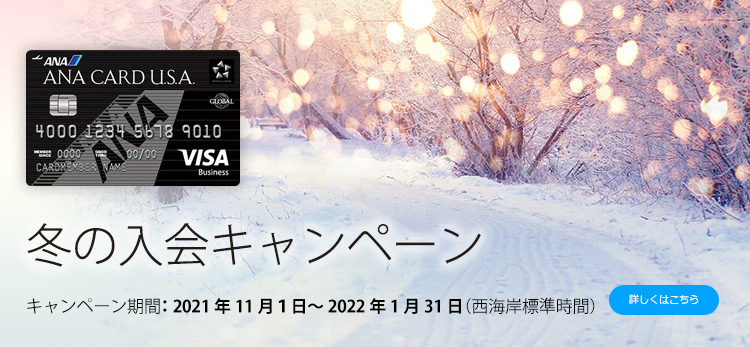アメリカ駐在の方へおすすめ アメリカのクレジットカード Ana Card U S A